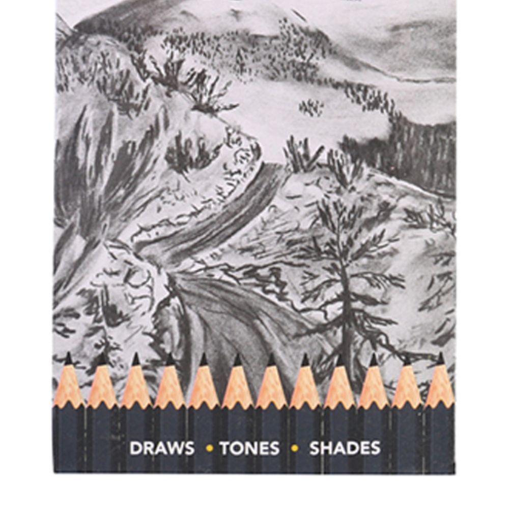 12pc Studio Works High Quality Charcoal Artists Deep Tone Pencils