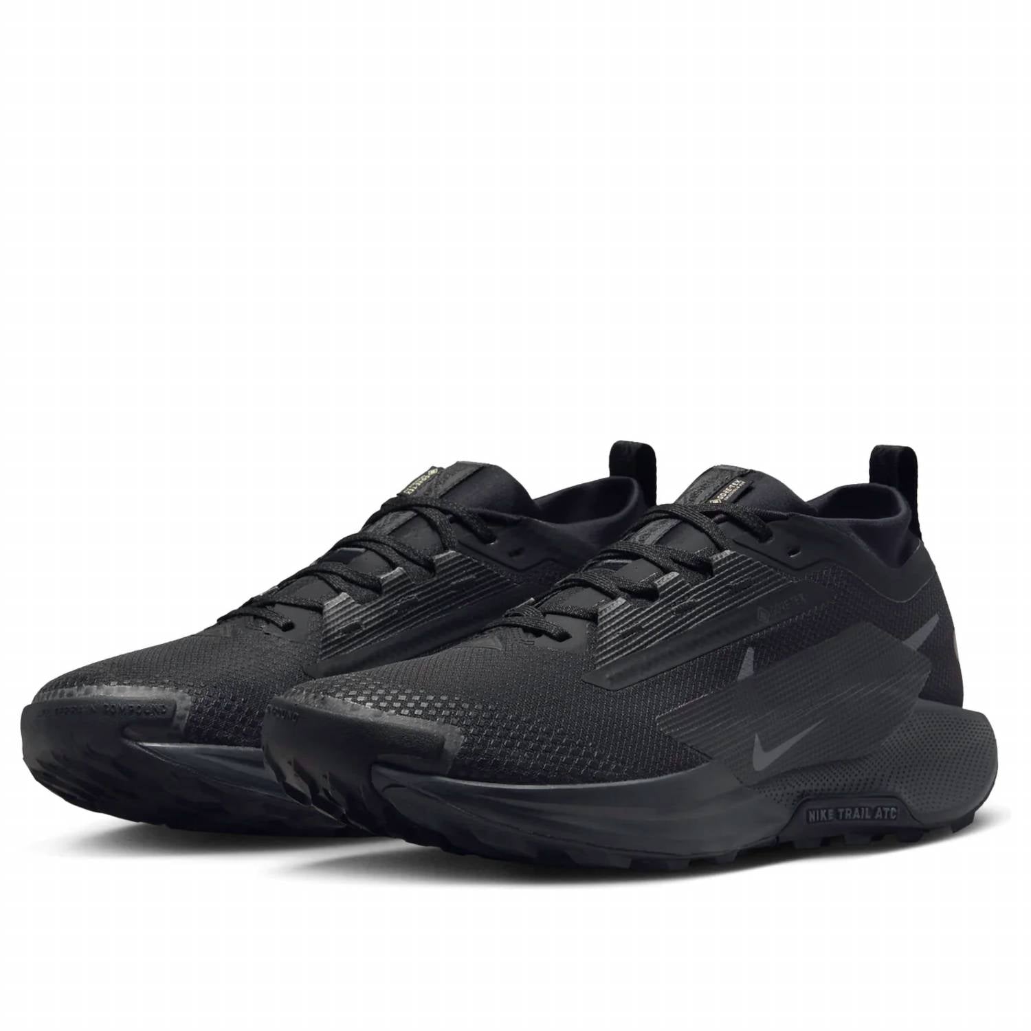 Men's Pegasus Trail 5 Gore-Tex Running Shoes In 002 - Black/black-Anthracite