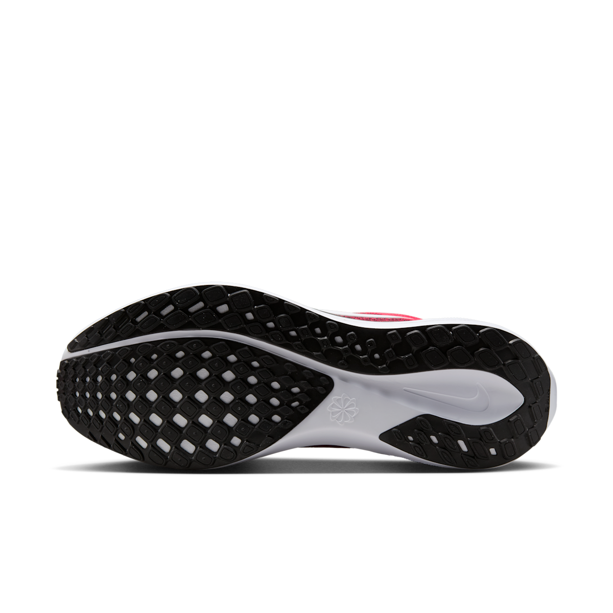 Ohio State Pegasus 41  Men's College Road Running Shoes