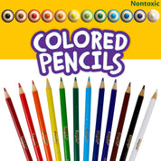 12pc Crayola Full Size Triangular Coloured Pencils 3+