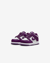 Toddler Nike Dunk Low Baby/ Shoes