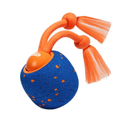 Cheerble Wicked Ball Rolly - Interactive Smart Dog Toy - Royal Blue