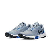 Men's Flex Control 4 Workout Shoes