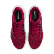 Arkansas Pegasus 41  Men's College Road Running Shoes