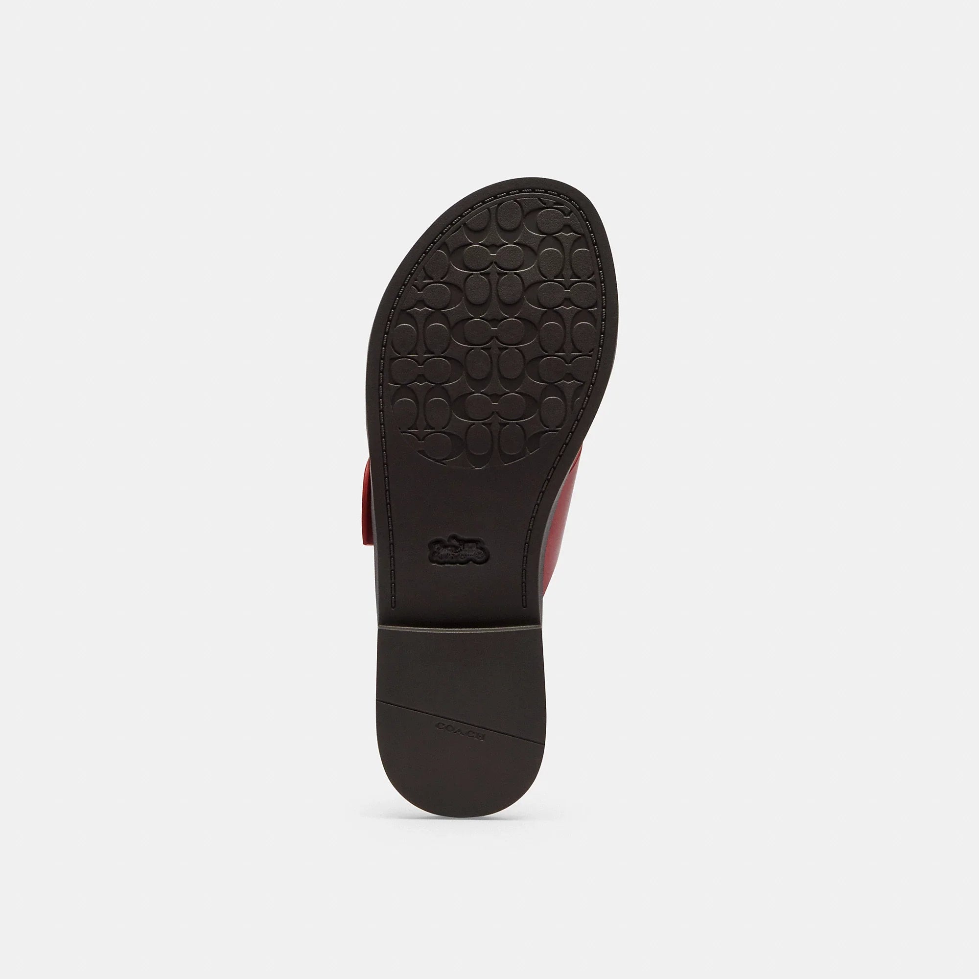 Coach Outlet Crisscross Buckle Sandal