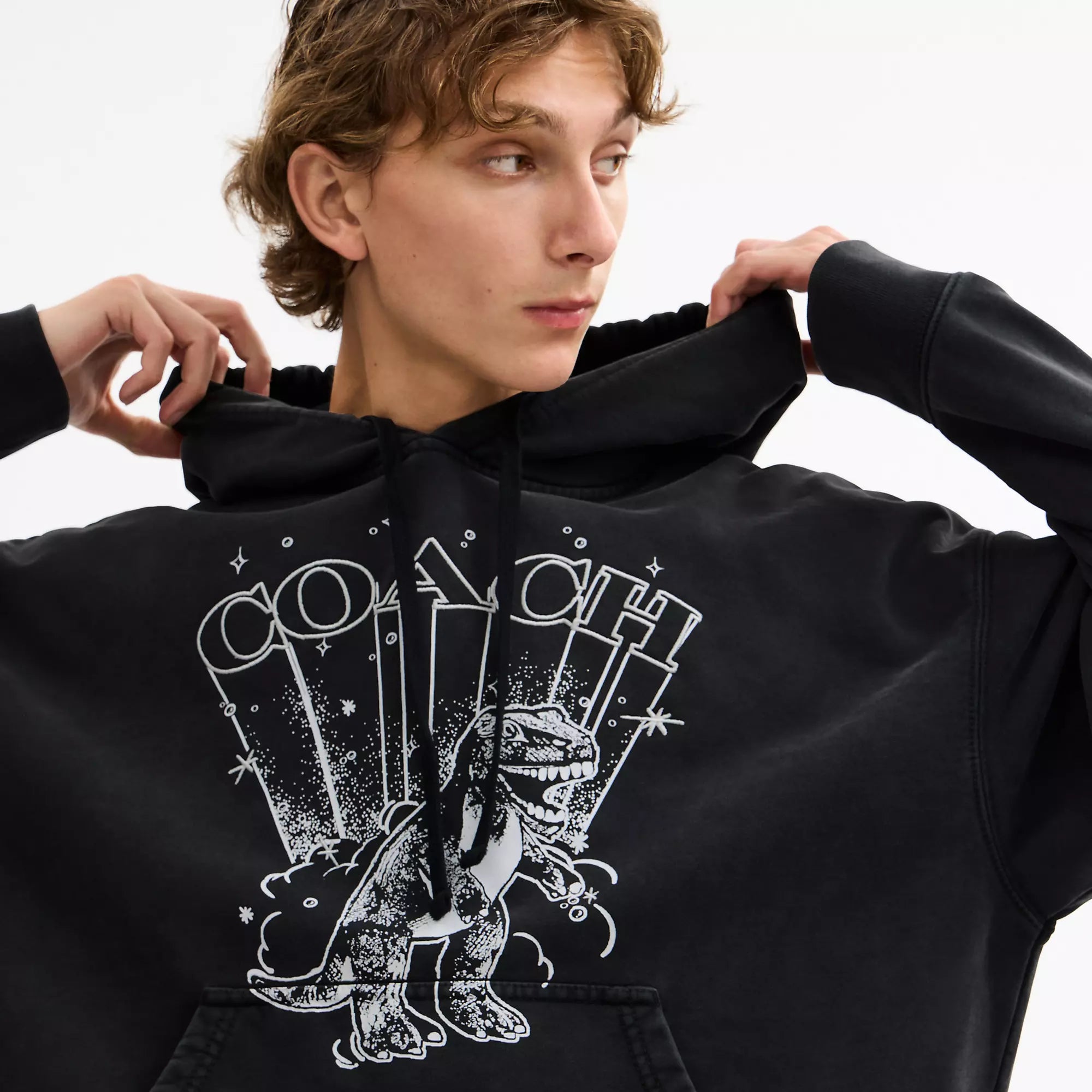 Coach Outlet Rexy Hoodie