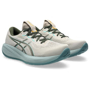 Men's Gel-Cumulus 28 (250 - Simply Taupe/Vintage Khaki)