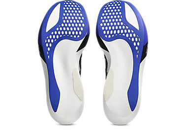 Unisex Metaspeed Sky Tokyo (101 - White/Cobalt Burst)