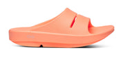 Unisex OOahh Slide Sandal (Sunburst)