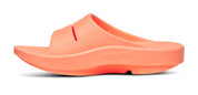 Unisex OOahh Slide Sandal (Sunburst)