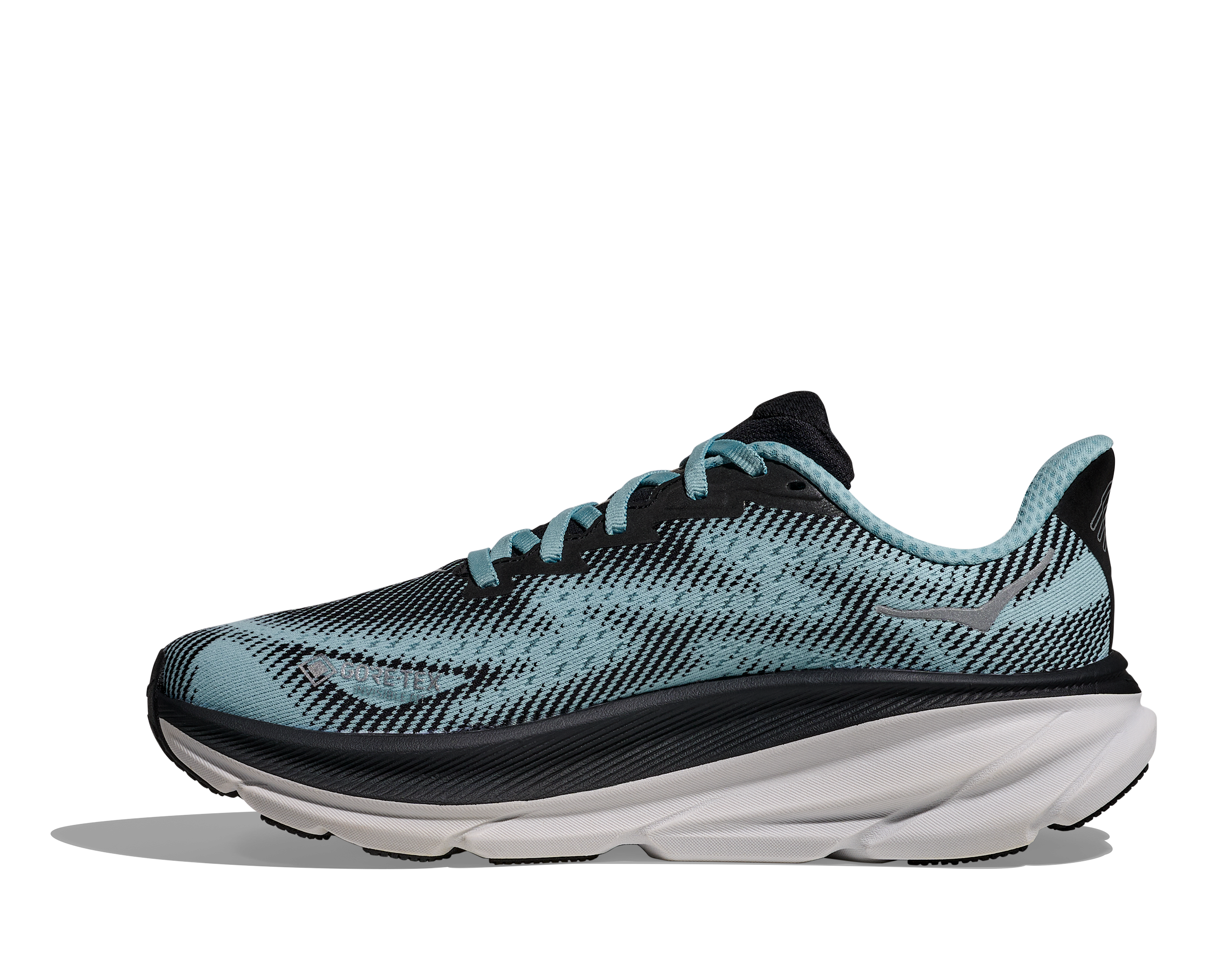 Women's Clifton 9 GTX (BNDR - Black/Raindrop)