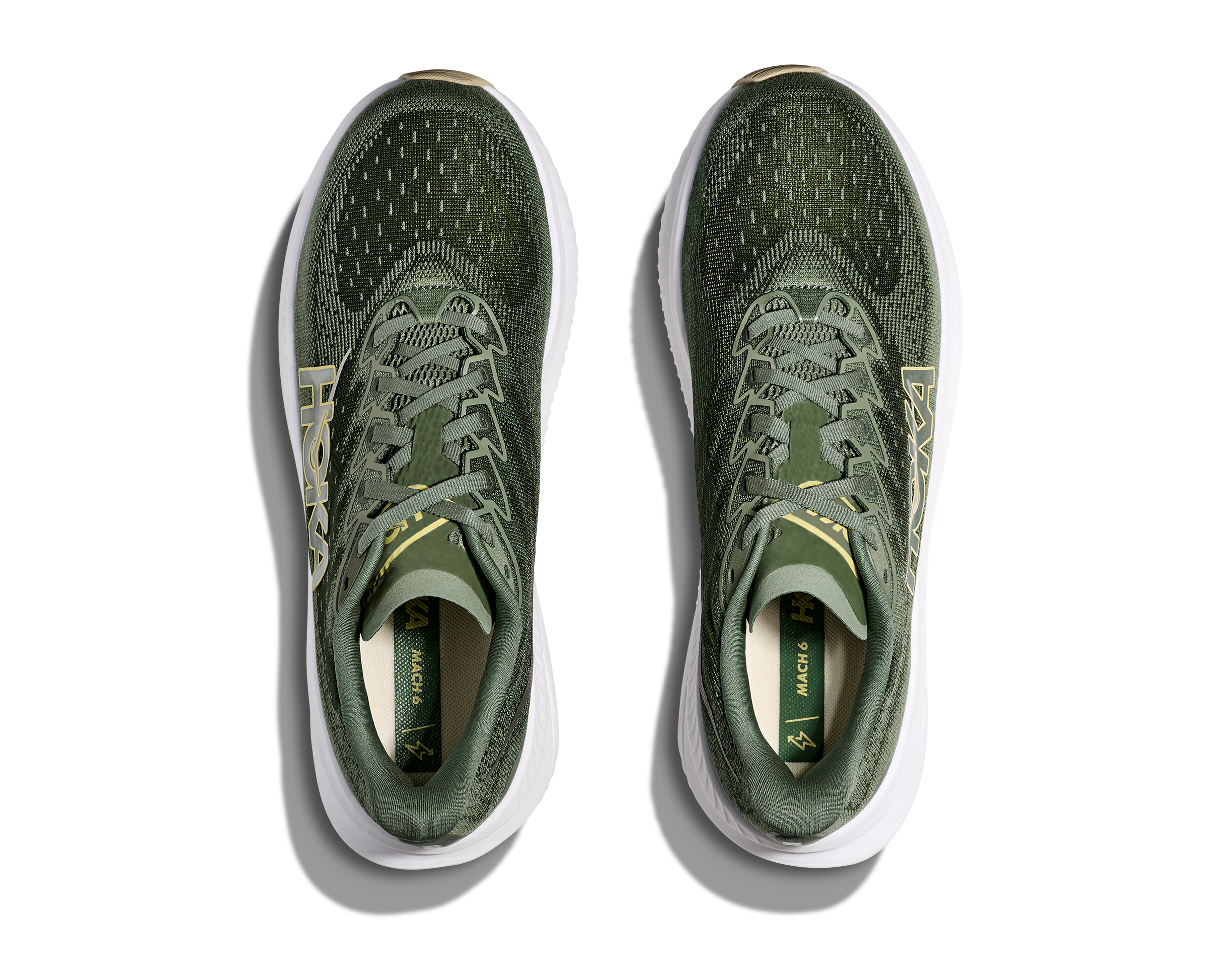 Men's Mach 6 (SNTF - Succulent/Fern)