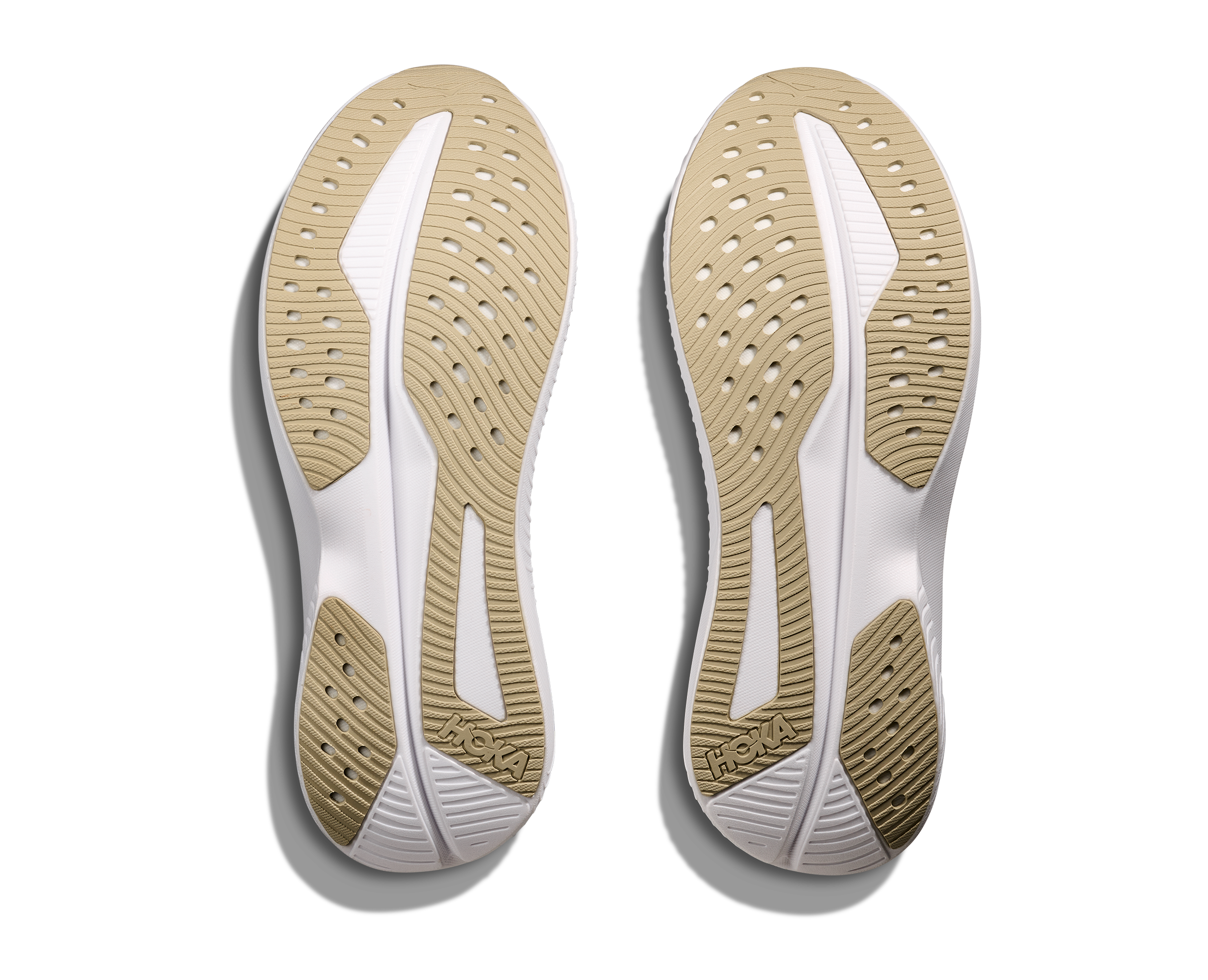 Men's Mach 6 (SNTF - Succulent/Fern)