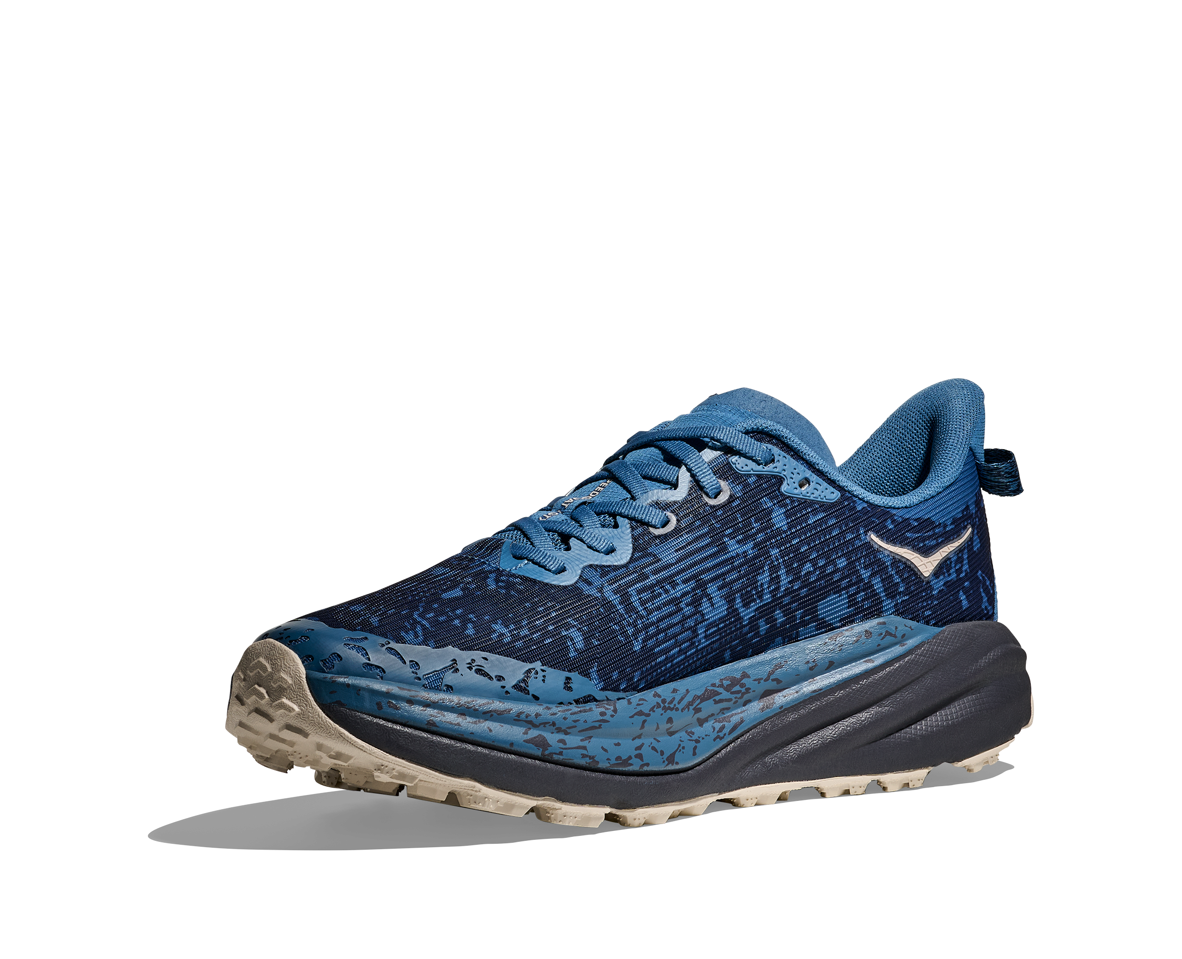 Men's Speedgoat 6 GTX (FYNG - Foggy Night/Charcoal Grey)
