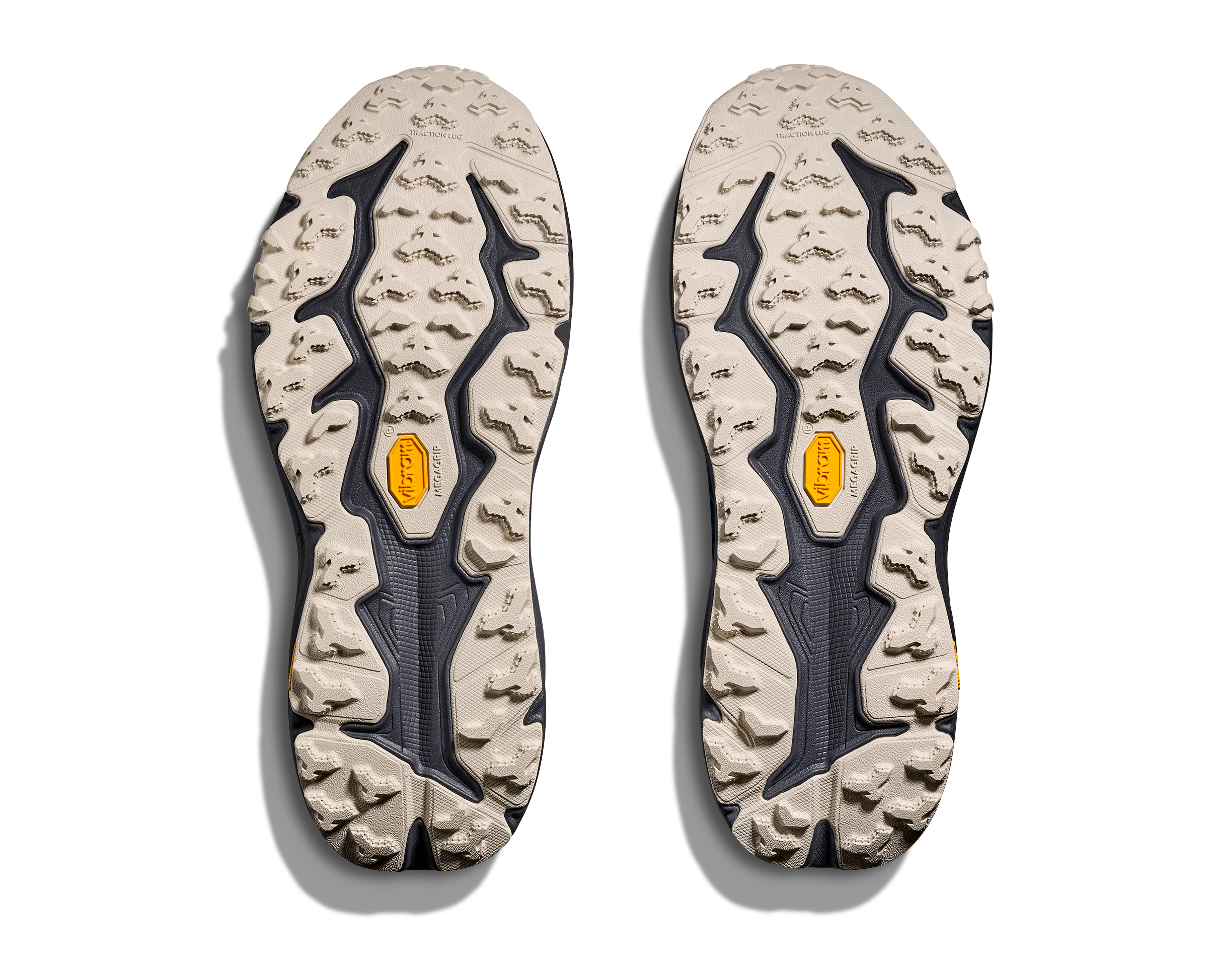 Men's Speedgoat 6 GTX (FYNG - Foggy Night/Charcoal Grey)