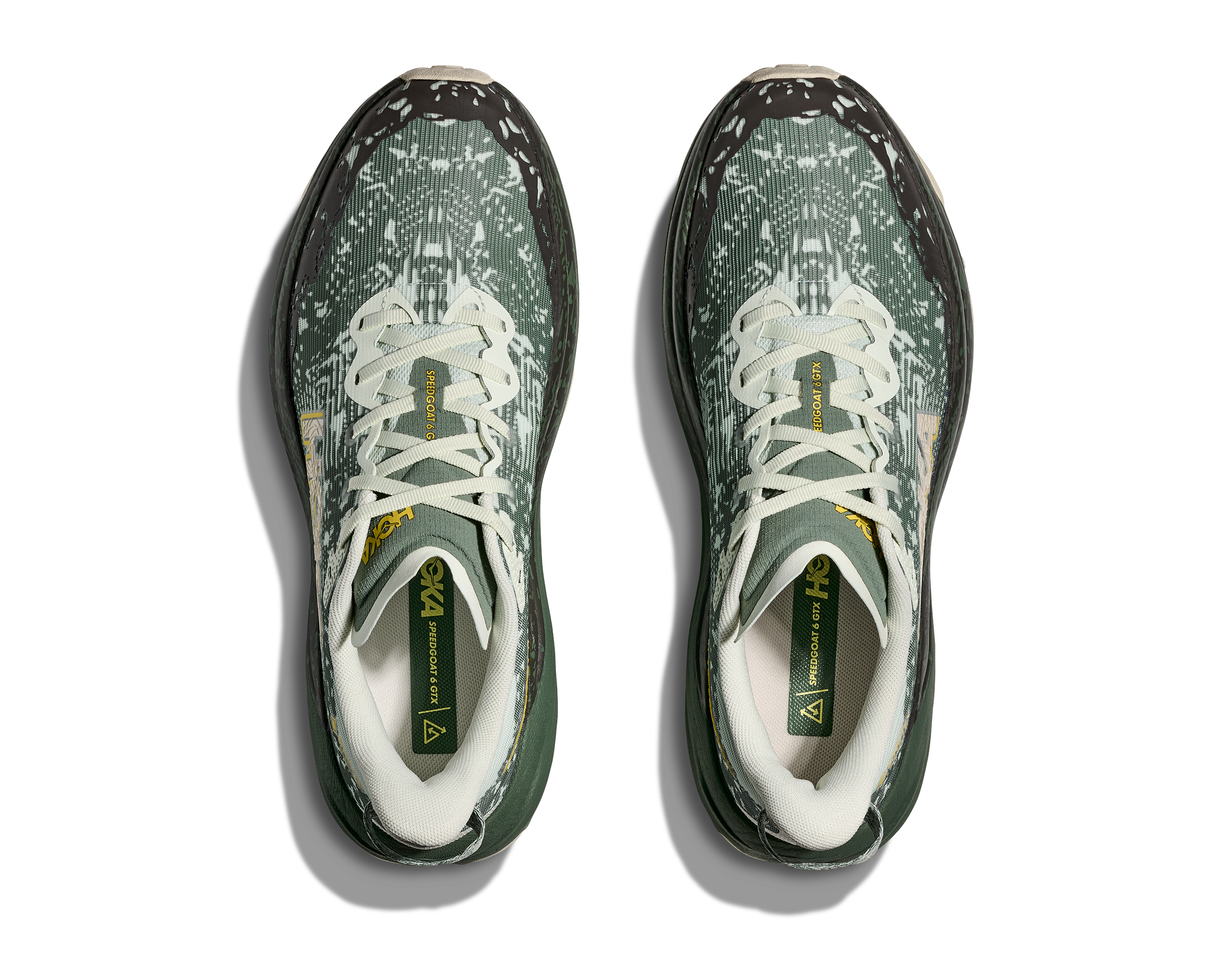 Men's Speedgoat 6 GTX (SFRN - Sea Glass/Fern)