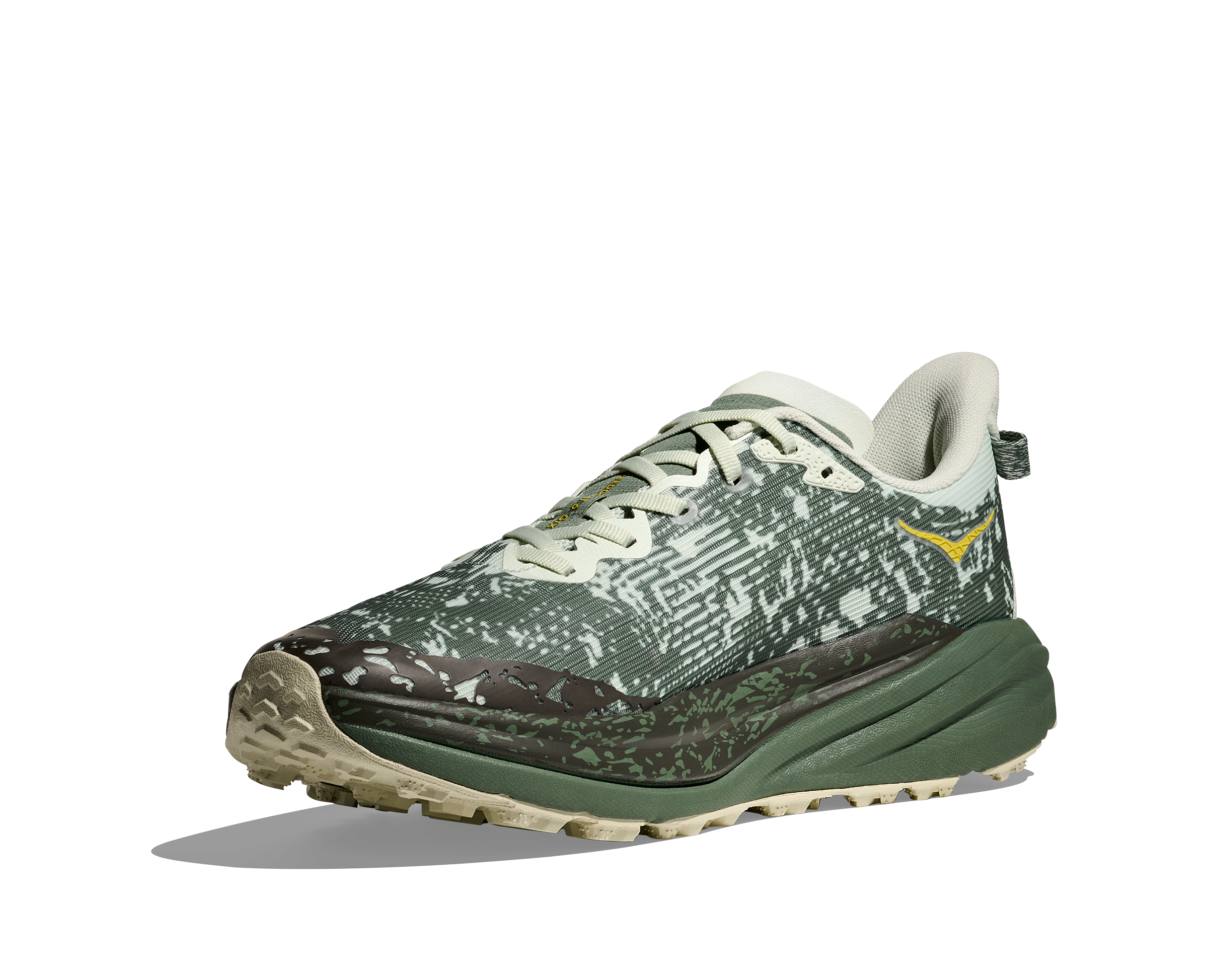 Men's Speedgoat 6 GTX (SFRN - Sea Glass/Fern)