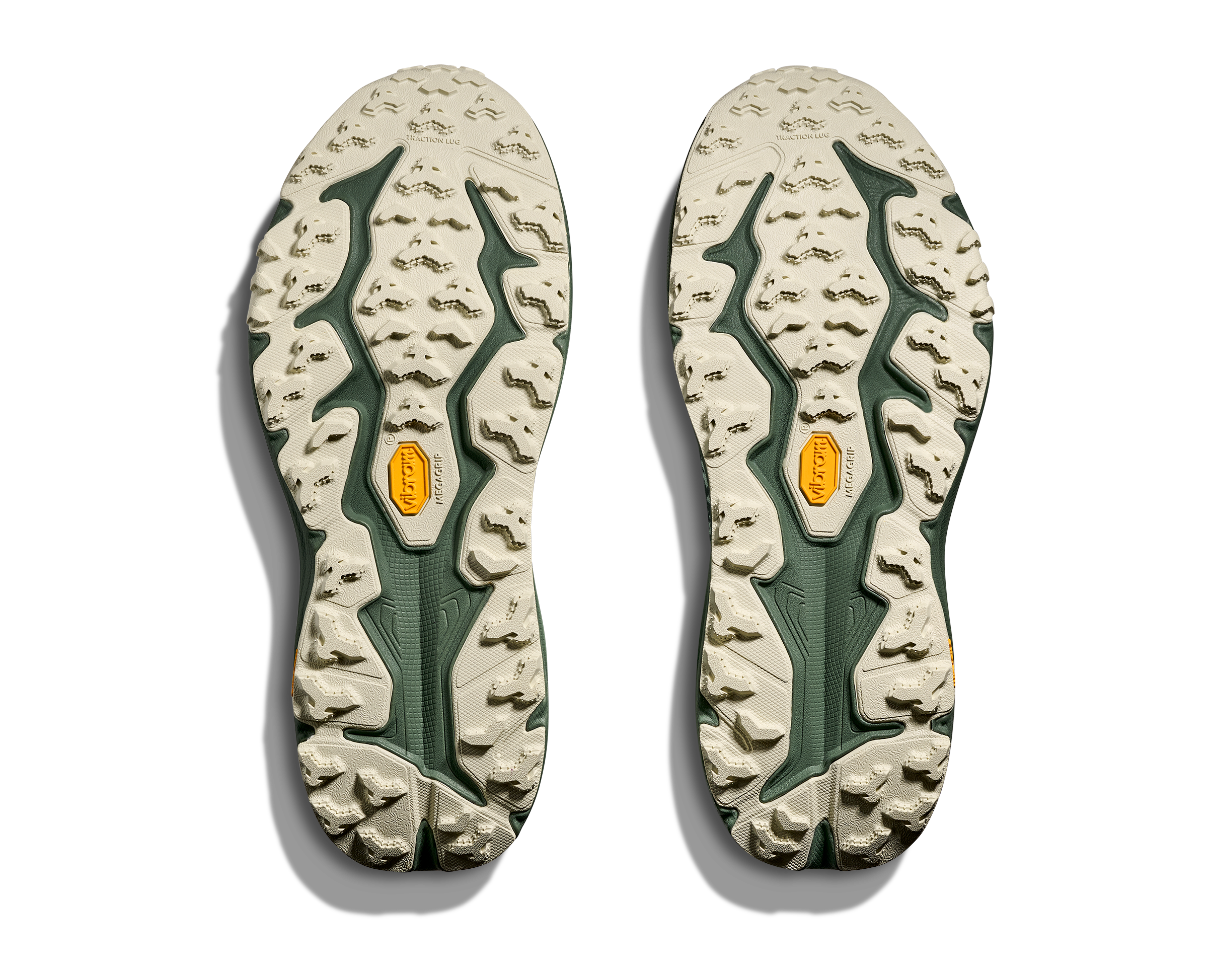 Men's Speedgoat 6 GTX (SFRN - Sea Glass/Fern)