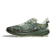 Men's Speedgoat 6 GTX (SFRN - Sea Glass/Fern)