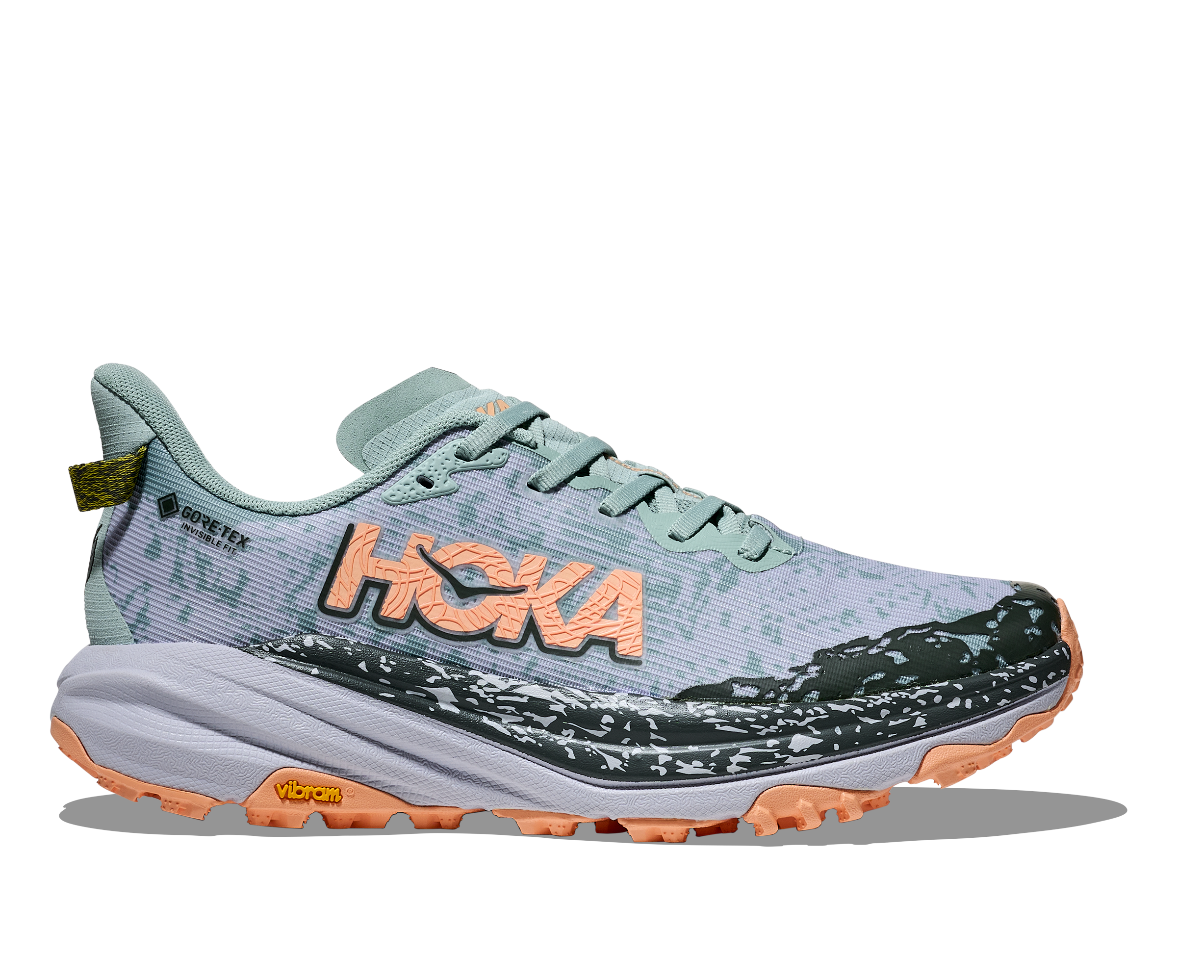 Women's Speedgoat 6 GTX (JSH - Jade/Ash Grey)