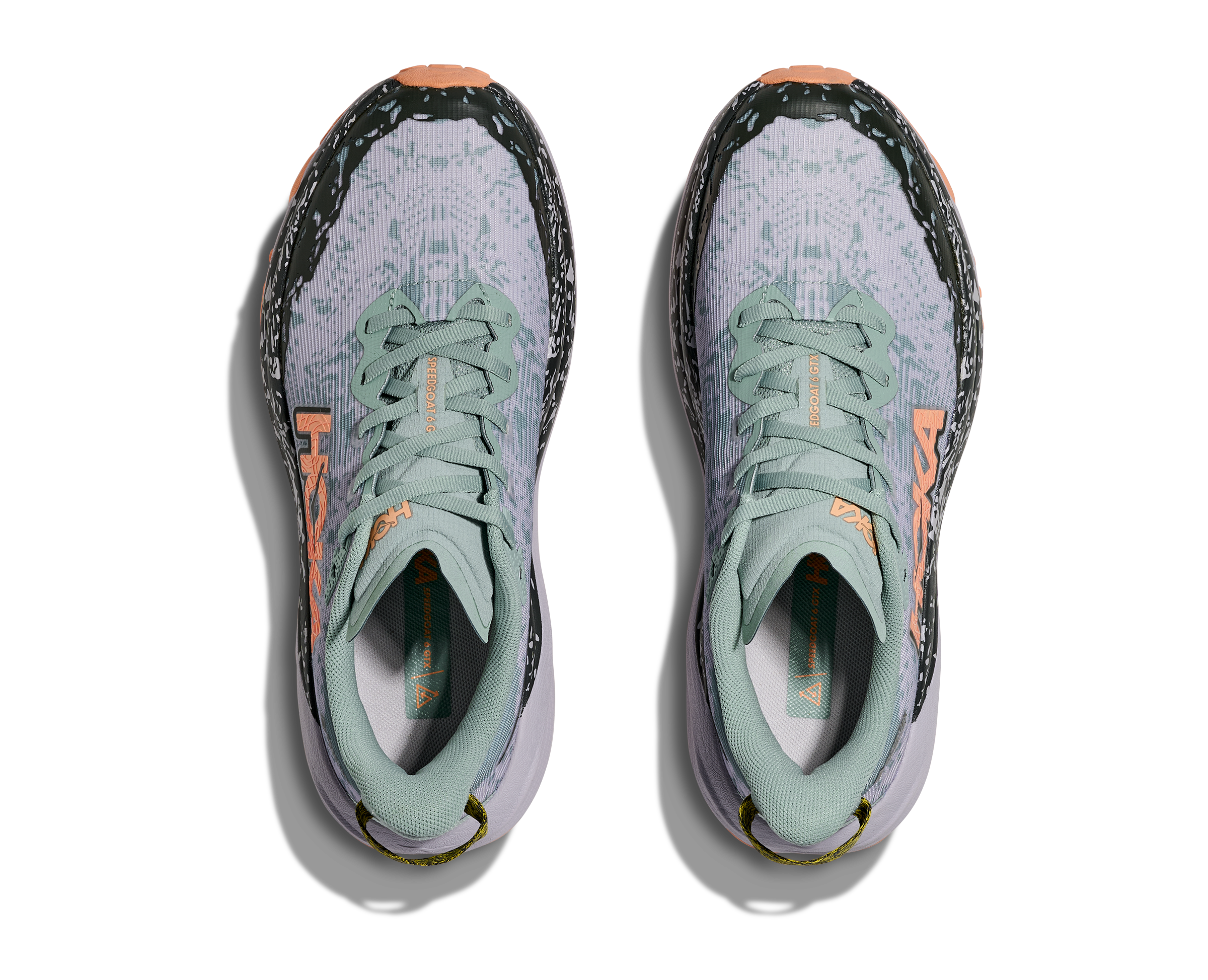 Women's Speedgoat 6 GTX (JSH - Jade/Ash Grey)