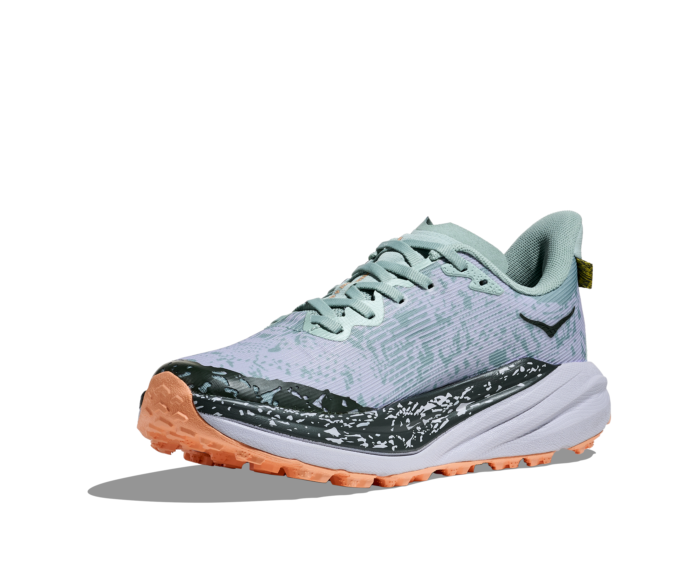 Women's Speedgoat 6 GTX (JSH - Jade/Ash Grey)
