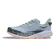 Women's Speedgoat 6 GTX (JSH - Jade/Ash Grey)