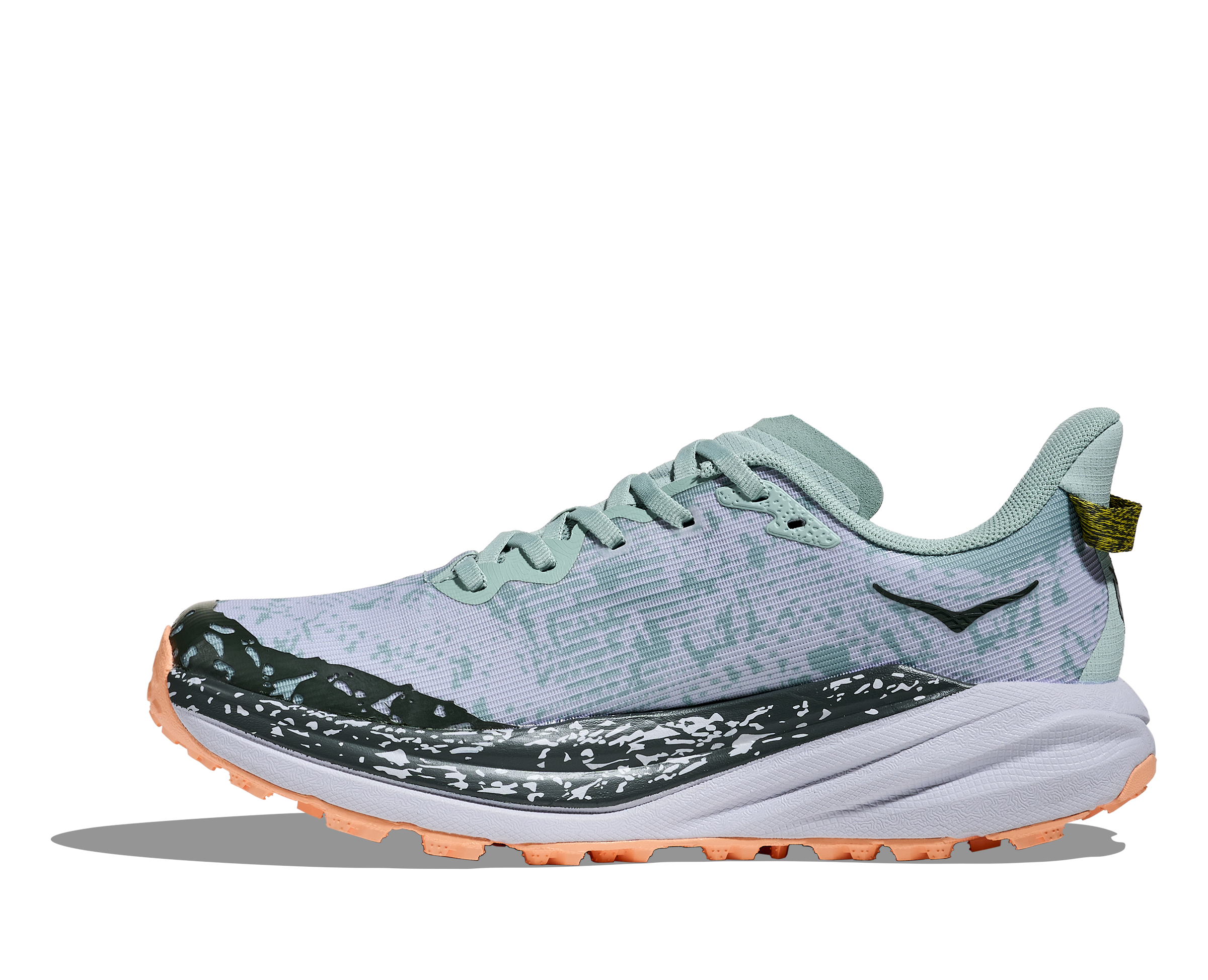 Women's Speedgoat 6 GTX (JSH - Jade/Ash Grey)