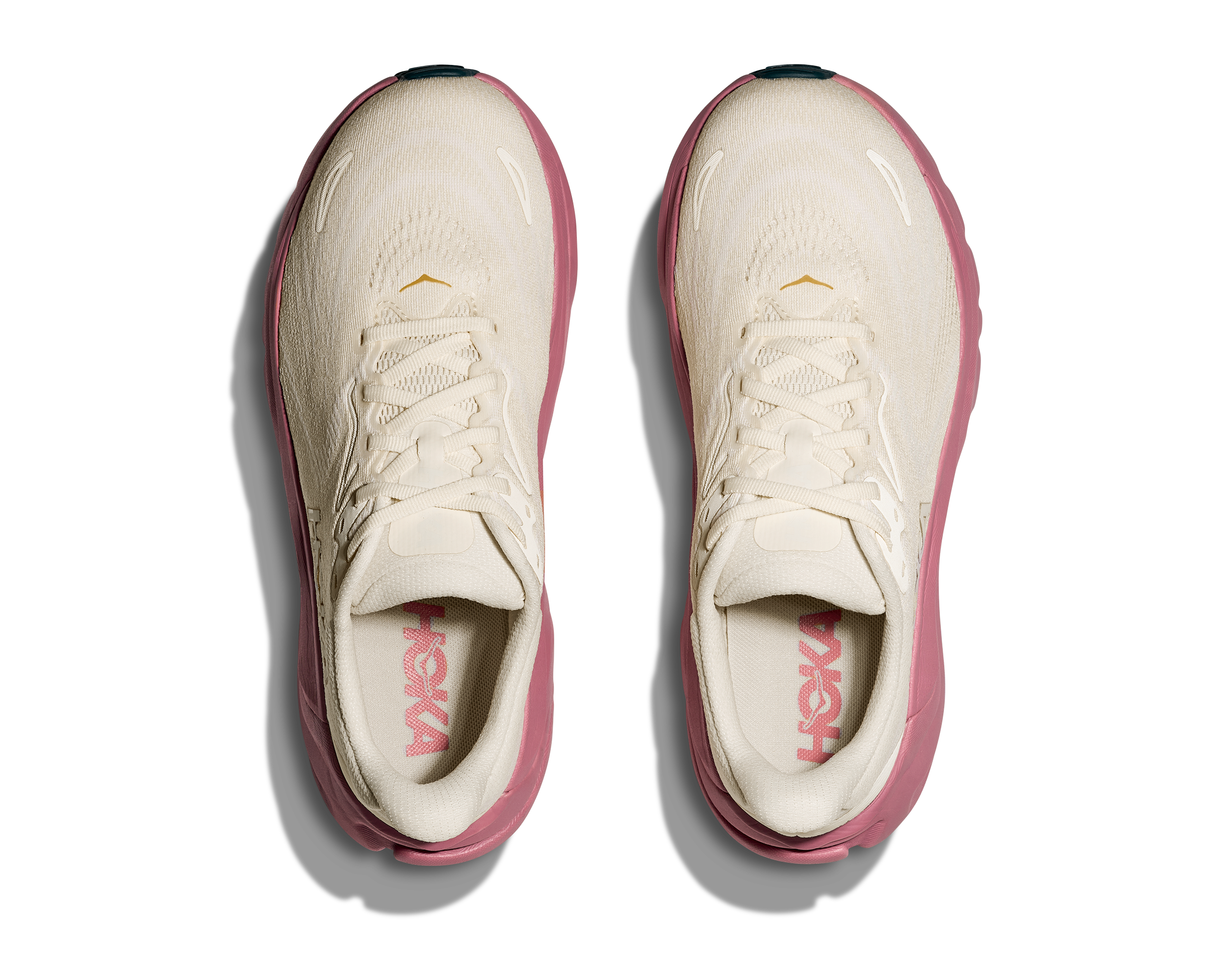 Women's Arahi 8 (ARLN - Alabaster/Lingonberry)