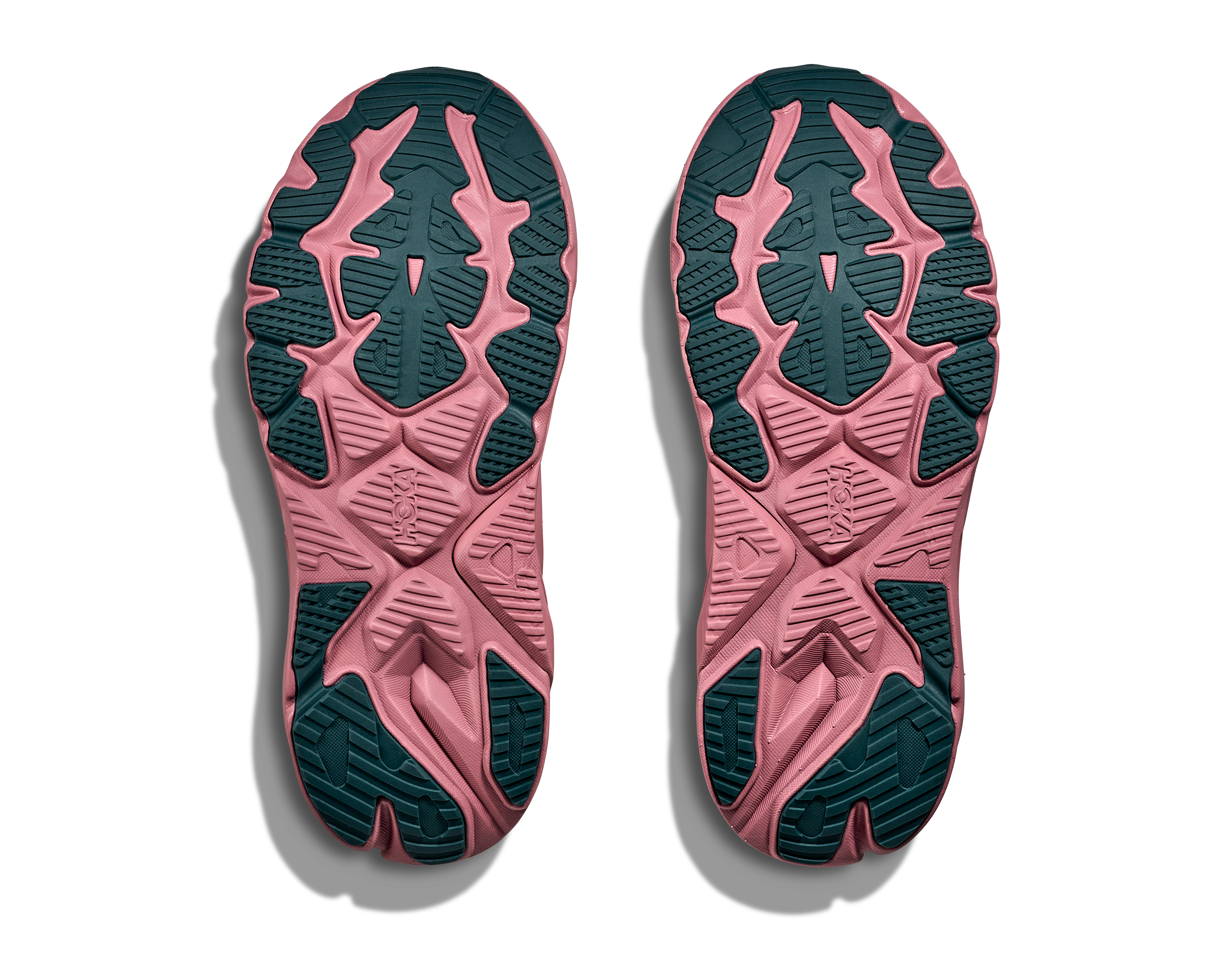 Women's Arahi 8 (ARLN - Alabaster/Lingonberry)