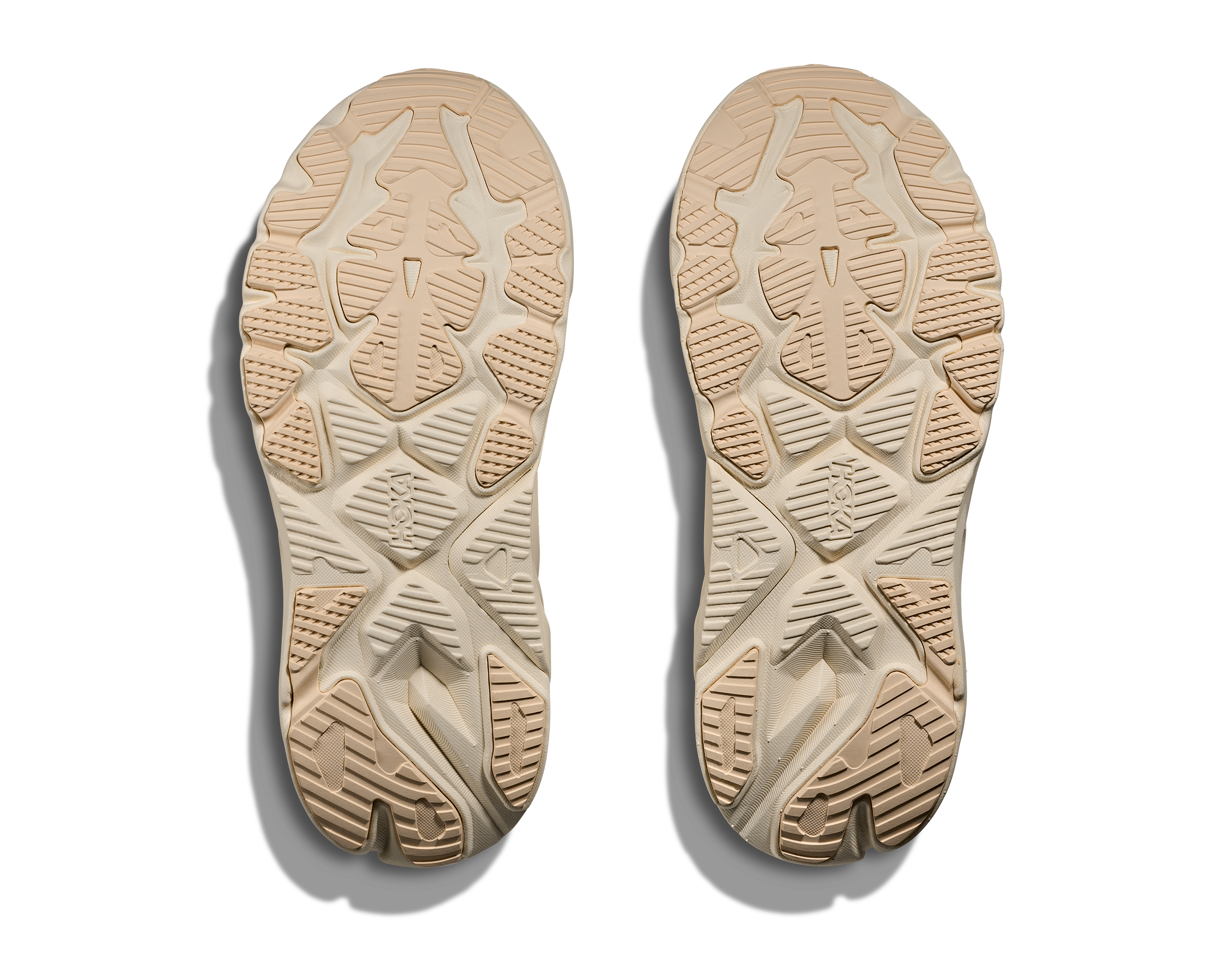 Women's Arahi 8 (BHLB - Birch/Alabaster)