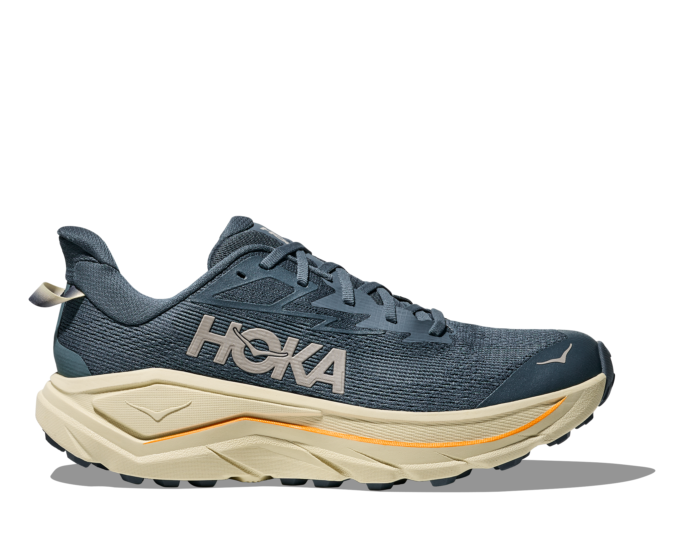 Men's Challenger 8 (FYP - Faded Navy/Pampass Grass)