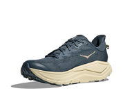 Men's Challenger 8 (FYP - Faded Navy/Pampass Grass)