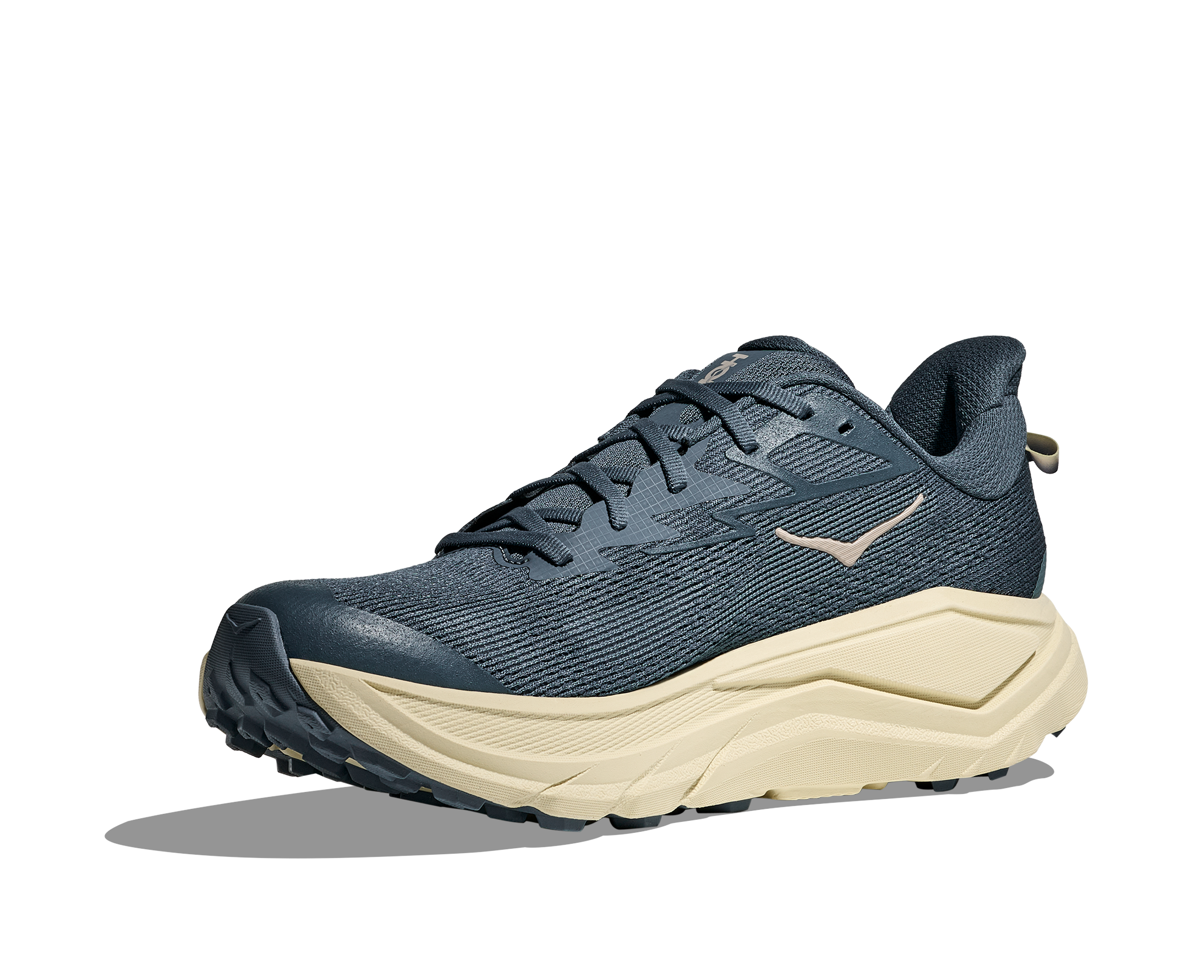 Men's Challenger 8 (FYP - Faded Navy/Pampass Grass)