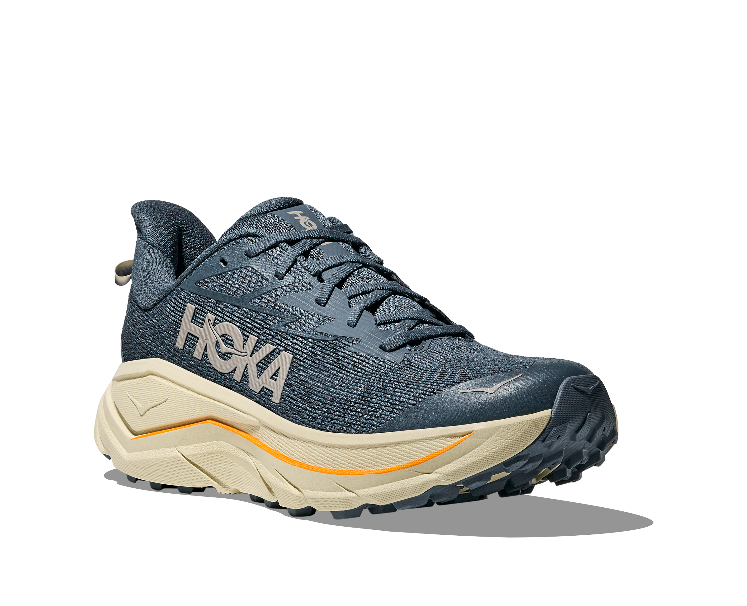 Men's Challenger 8 (FYP - Faded Navy/Pampass Grass)