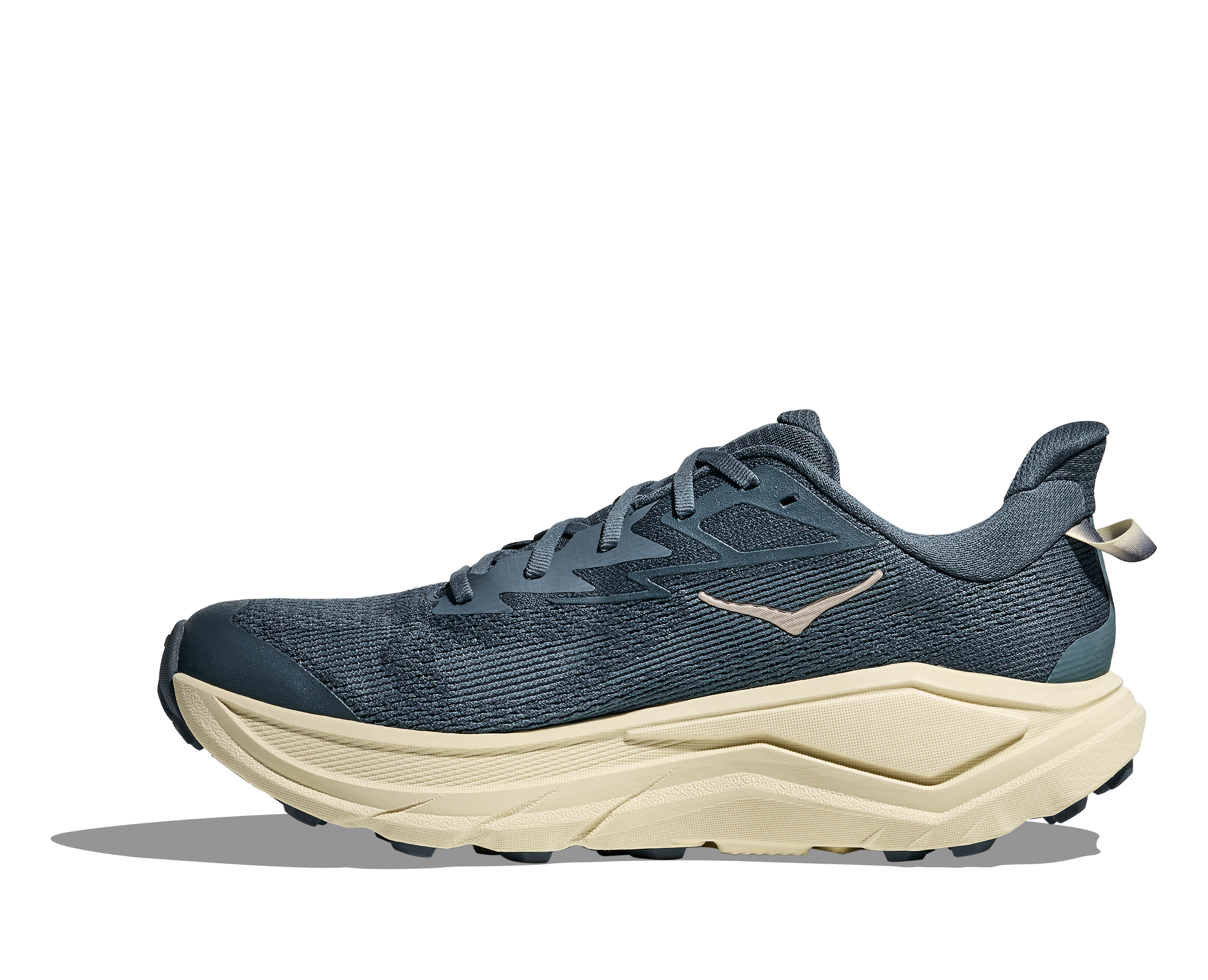 Men's Challenger 8 (FYP - Faded Navy/Pampass Grass)