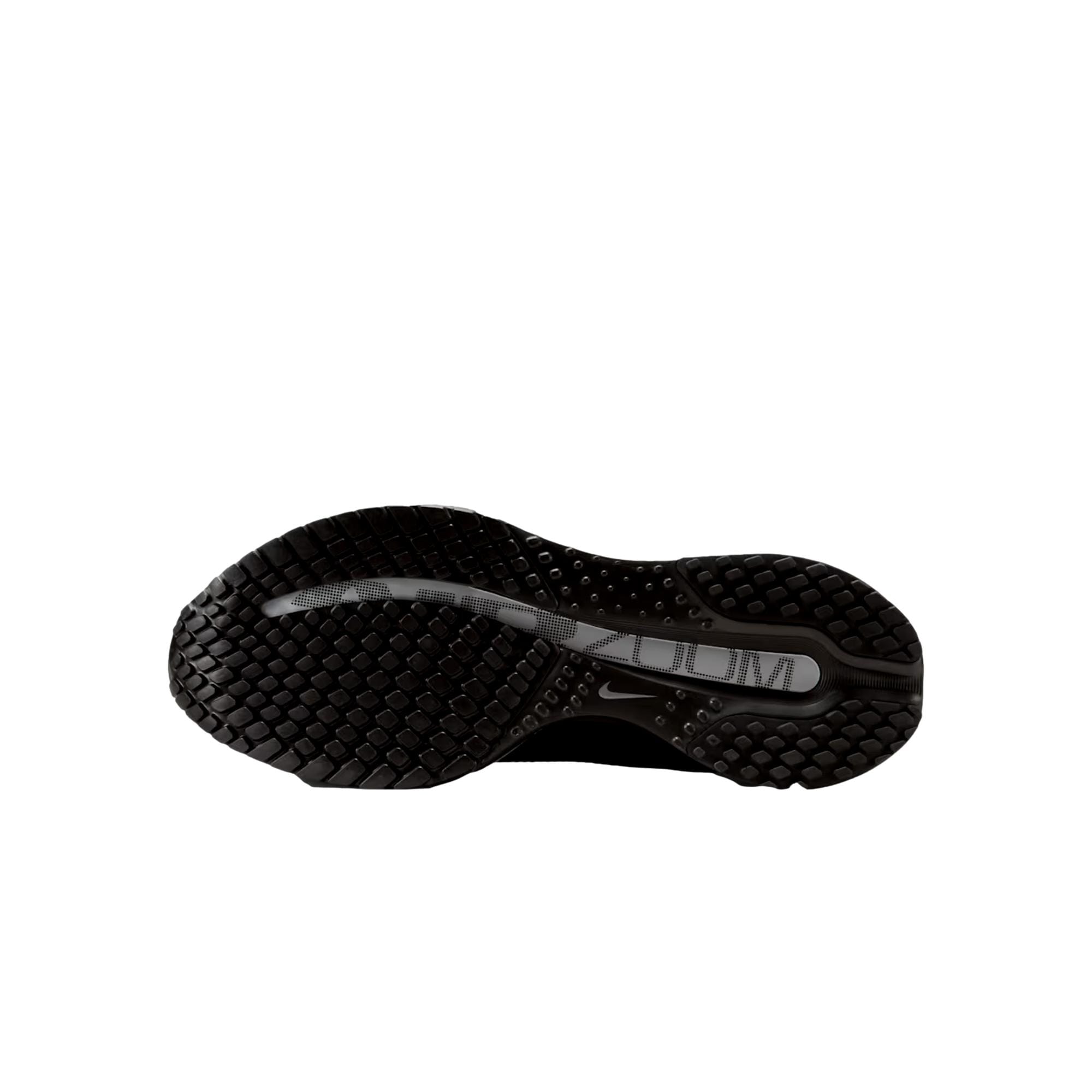 Nike Pegasus Premium Black / Black - Metallic Silver  HQ2593-004 Women's