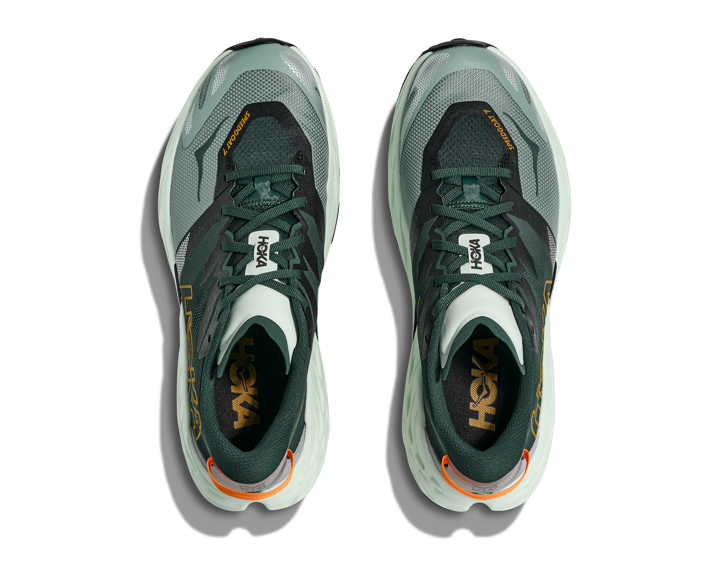 Men's Speedgoat 7 (BFS - Bay Leaf/Sea Glass)