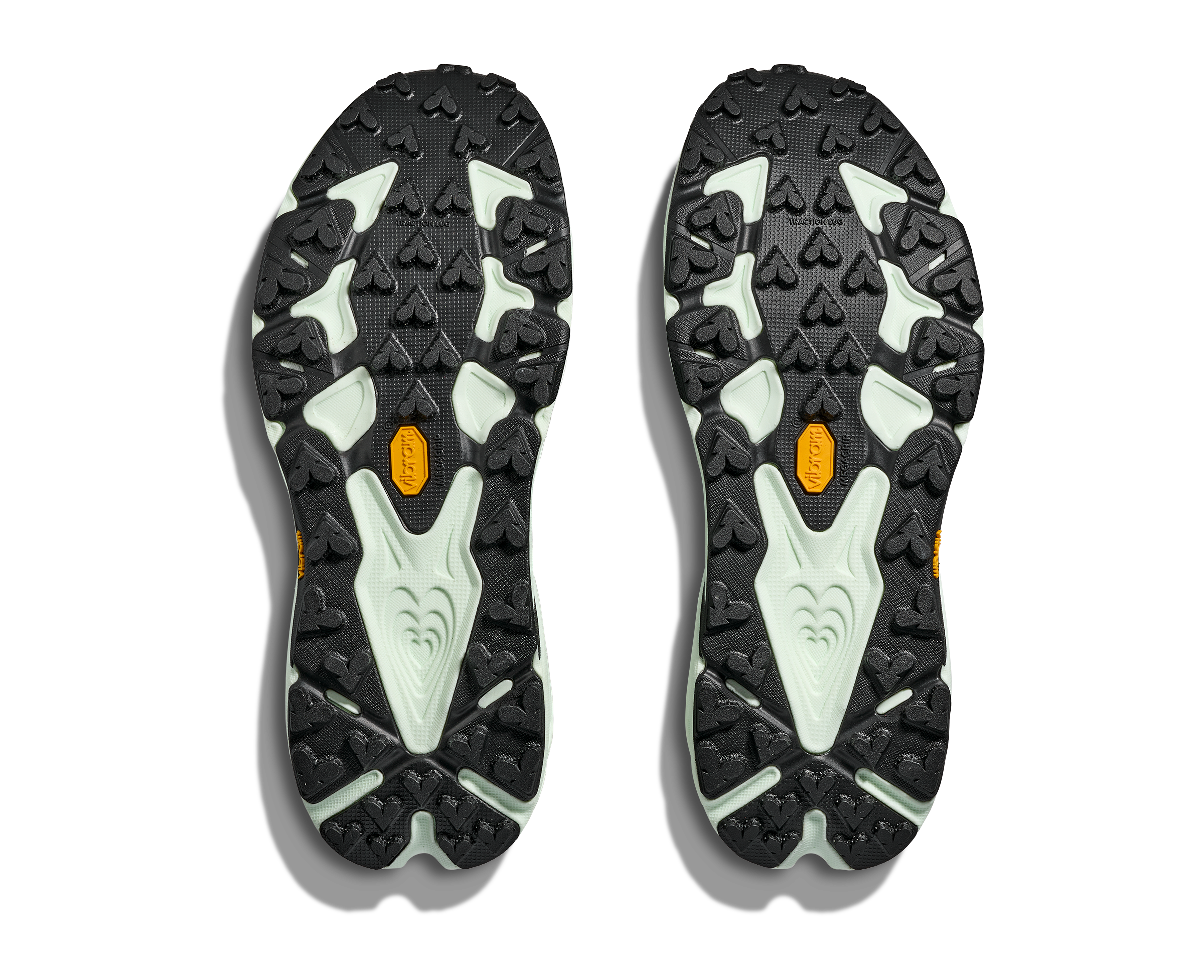 Men's Speedgoat 7 (BFS - Bay Leaf/Sea Glass)
