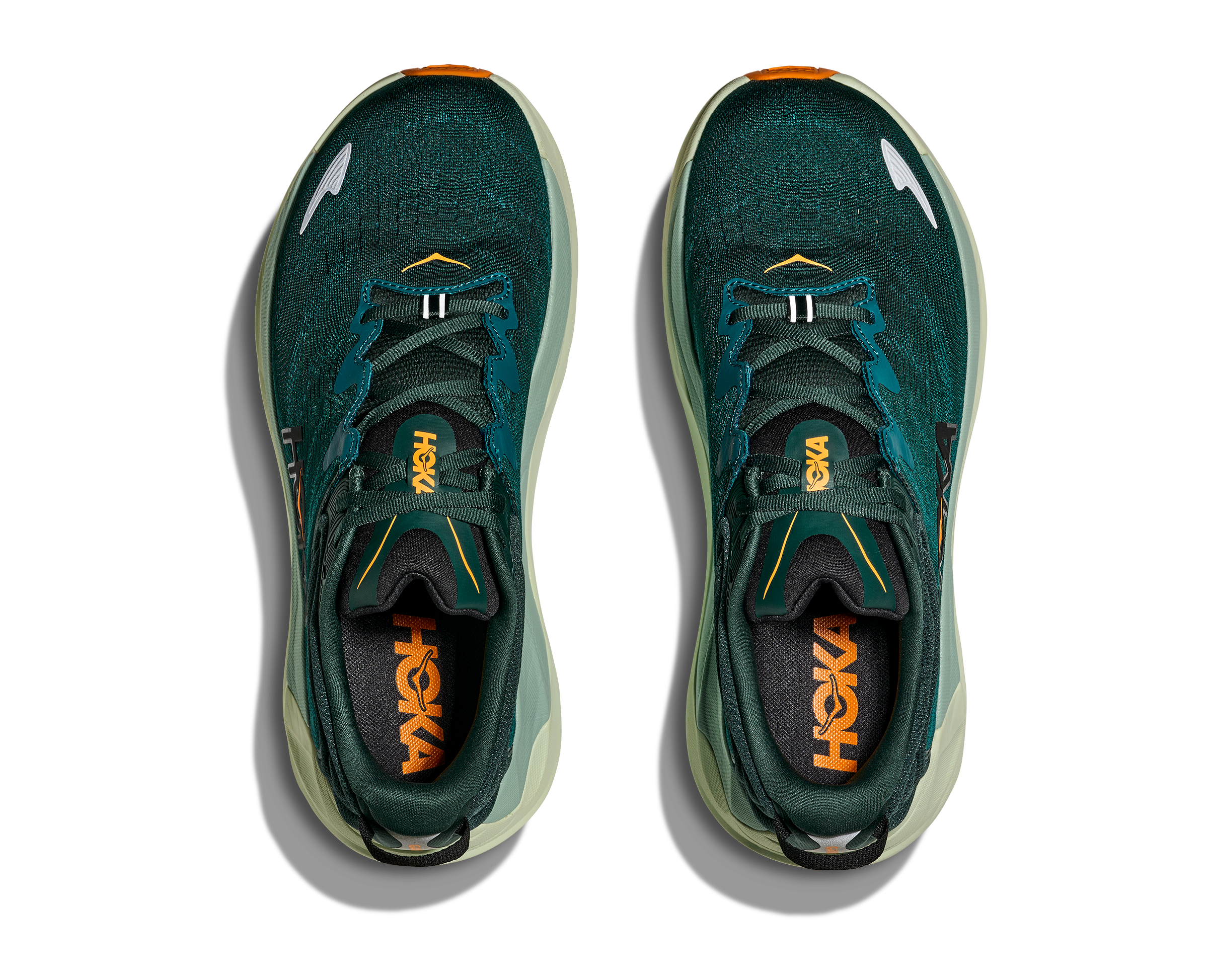 Men's Gaviota 6 (BLFT - Bay Leaf/Tidal Wave)