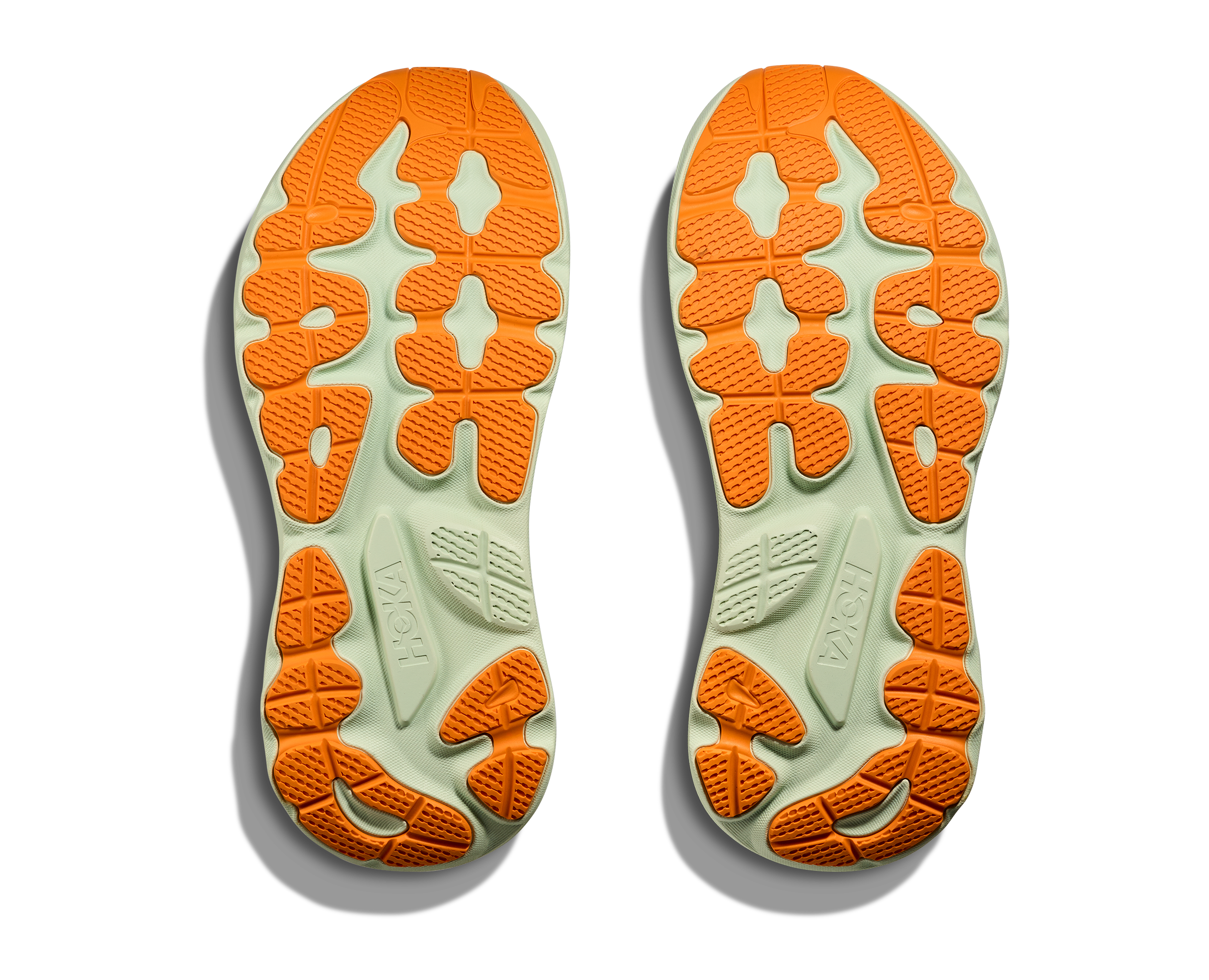 Men's Gaviota 6 (BLFT - Bay Leaf/Tidal Wave)
