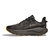 Men's Challenger 8 GTX (AYV - Asphalt Grey/Varsity Yellow)