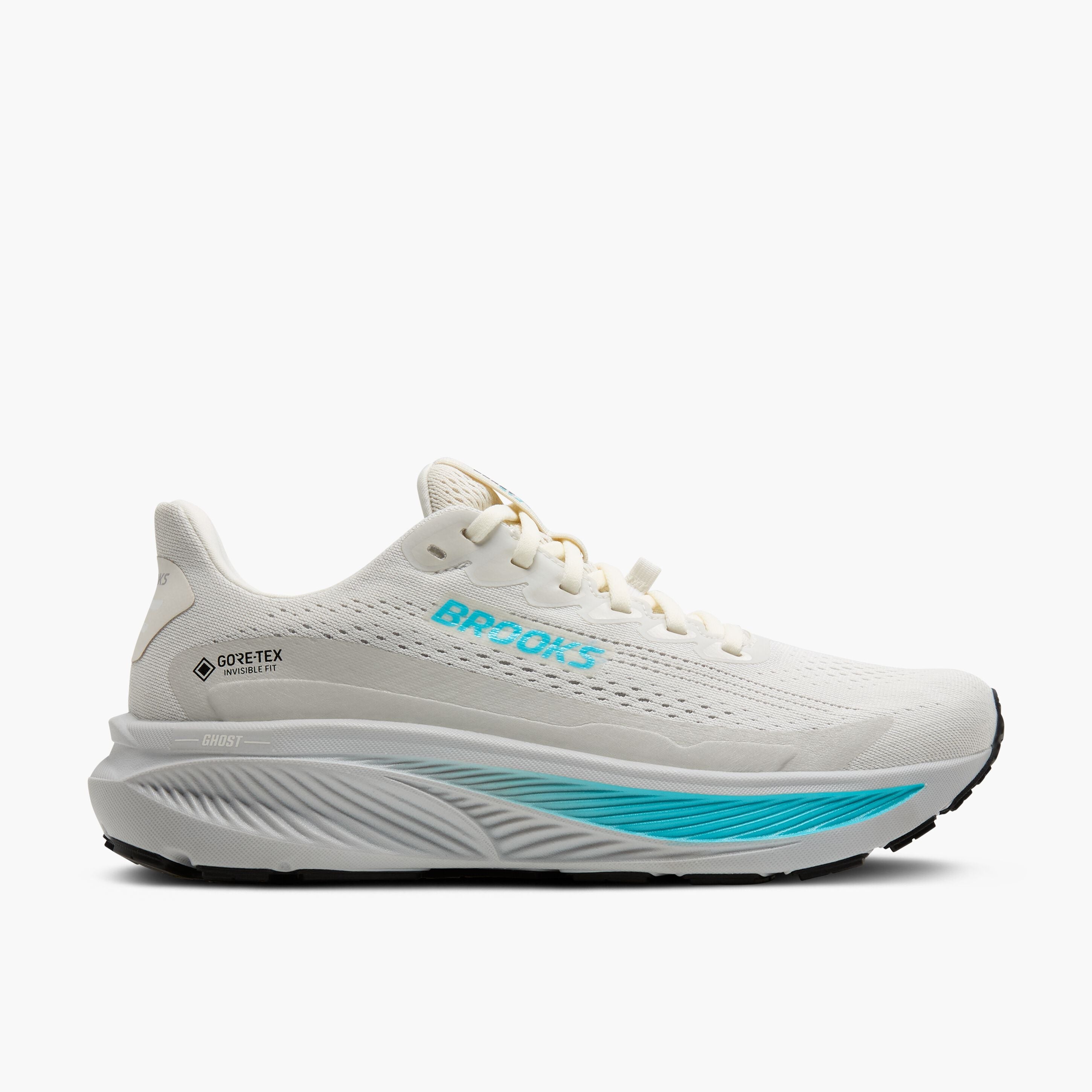 120451-138-l-ghost-17-gtx-womens-dynamic-cushion-road-running-shoe.jpg