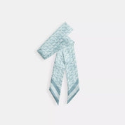 Coach Outlet Signature Print Silk Skinny Scarf