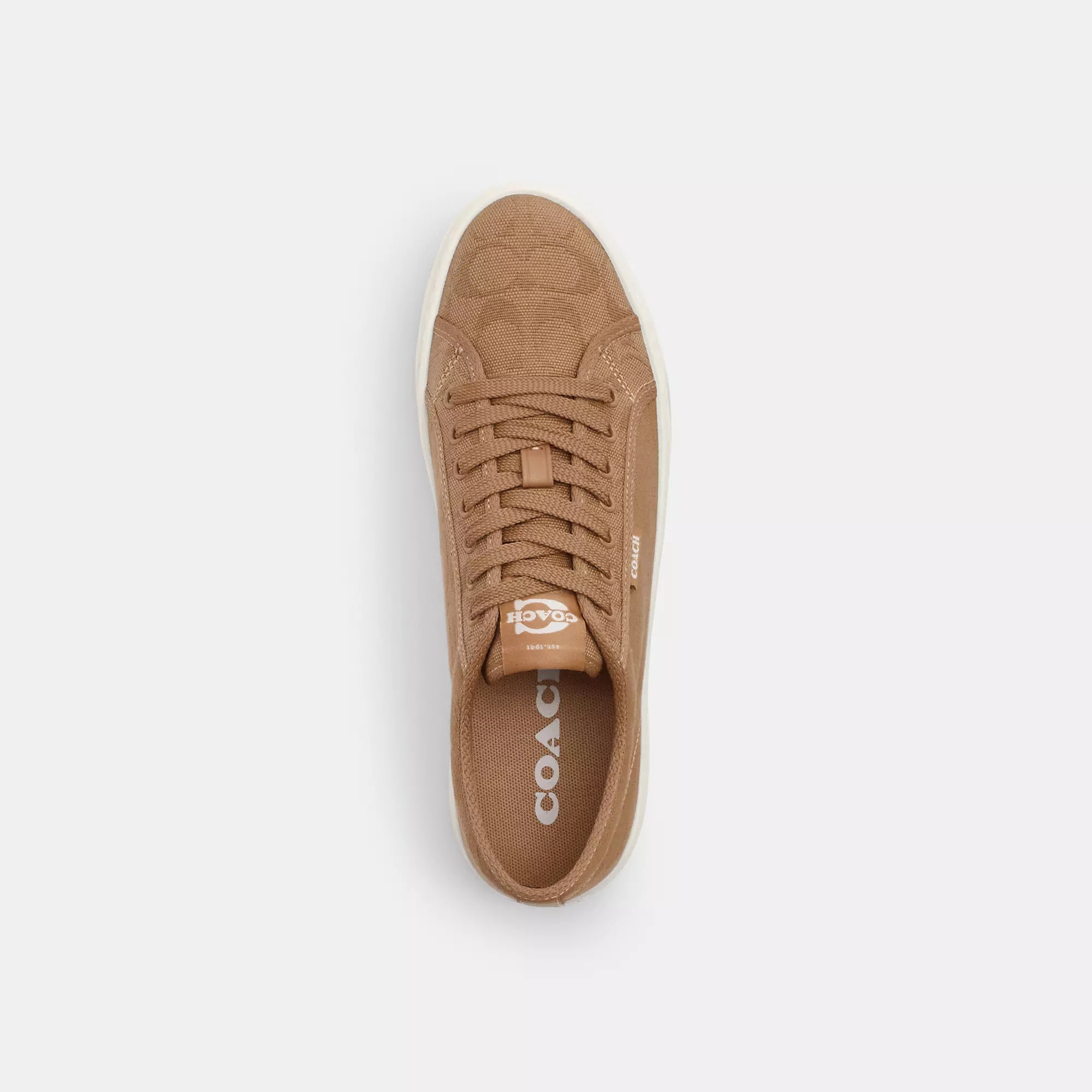 Coach Outlet Canvas Sneaker
