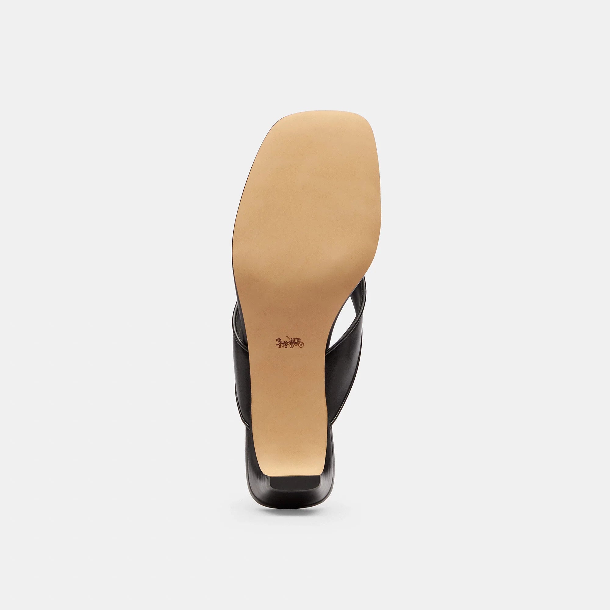 Coach Outlet Bow Thong Kitten Heel