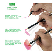 24pc Crayola Signature Blend & Shade Coloured Pencils