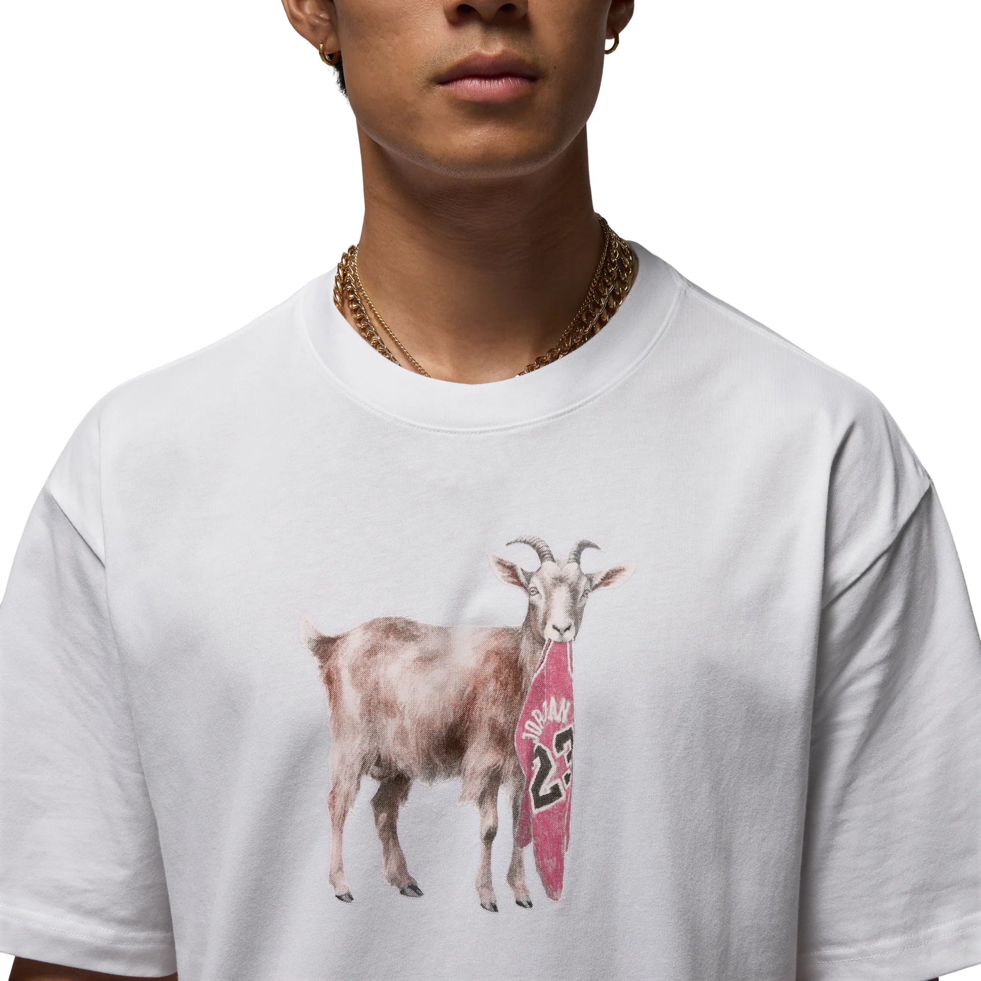 Mens Jordan Goat Short Sleeve Lifestyle T-Shirt