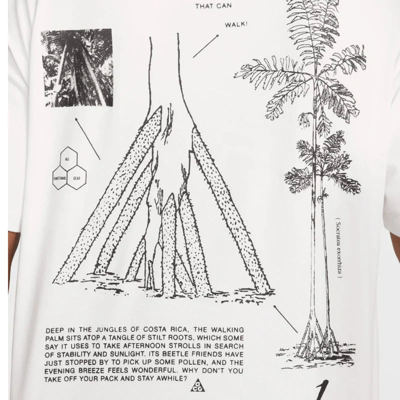 Men's Nike ACG Walking Tree Dri Fit T-Shirt White HJ0796-121