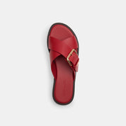 Coach Outlet Crisscross Buckle Sandal